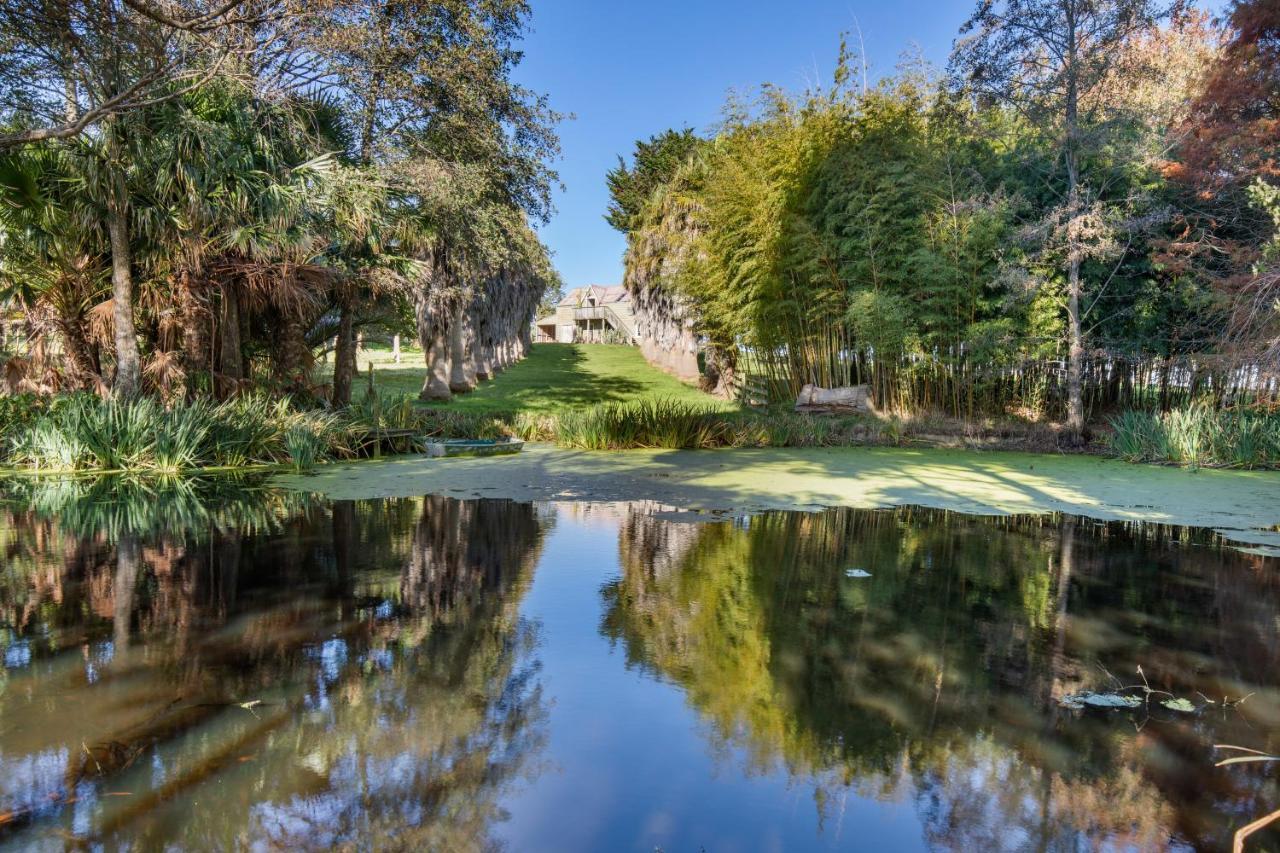 Headlands Estate Daire Whanganui Dış mekan fotoğraf