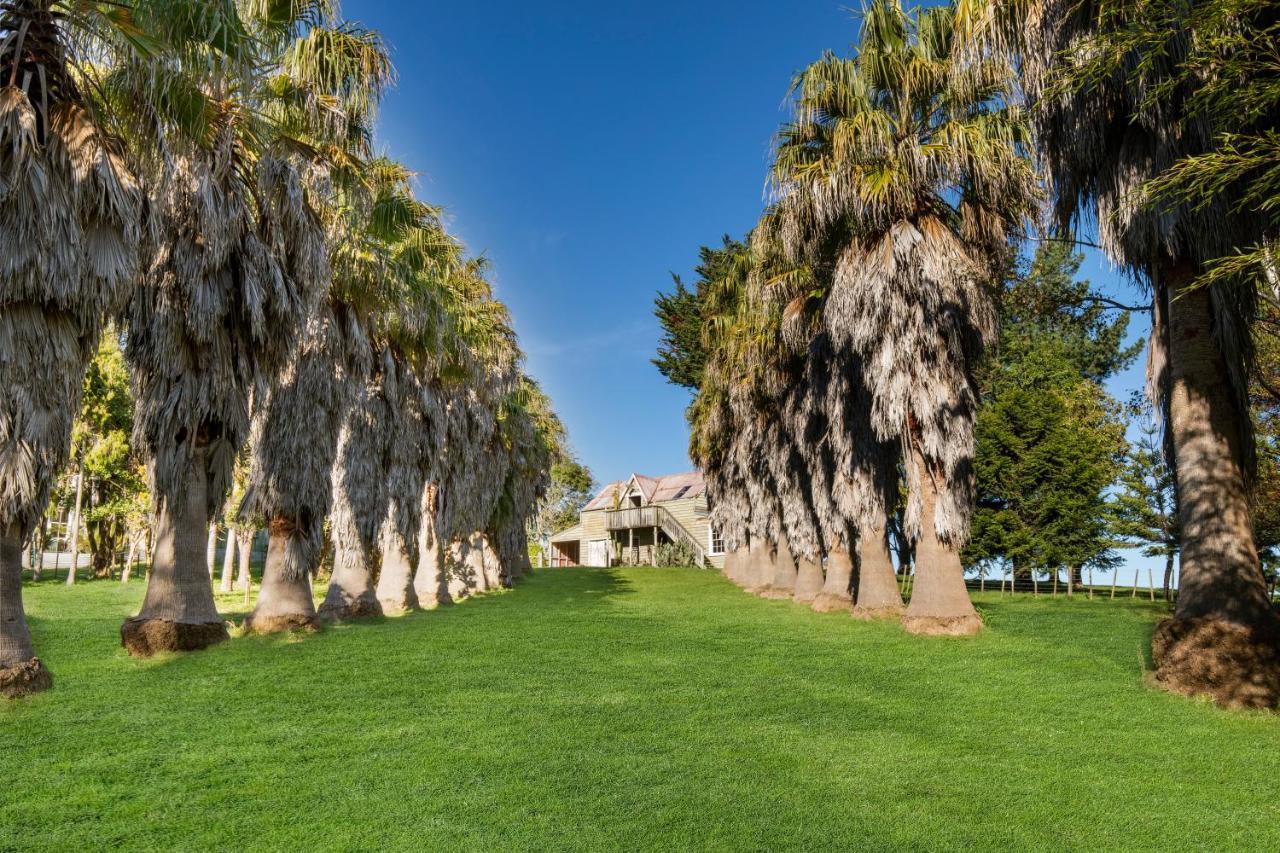 Headlands Estate Daire Whanganui Dış mekan fotoğraf