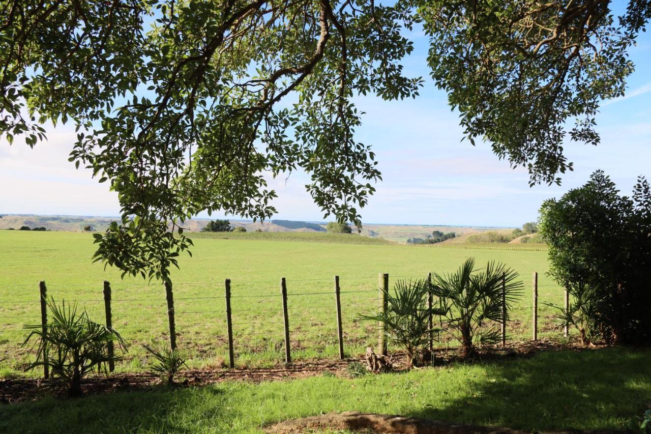 Headlands Estate Daire Whanganui Dış mekan fotoğraf