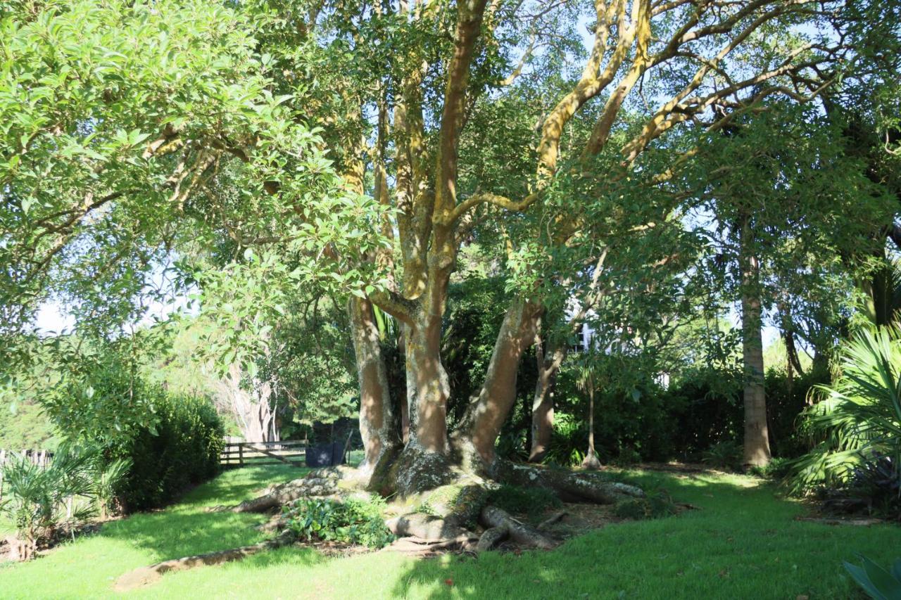 Headlands Estate Daire Whanganui Dış mekan fotoğraf